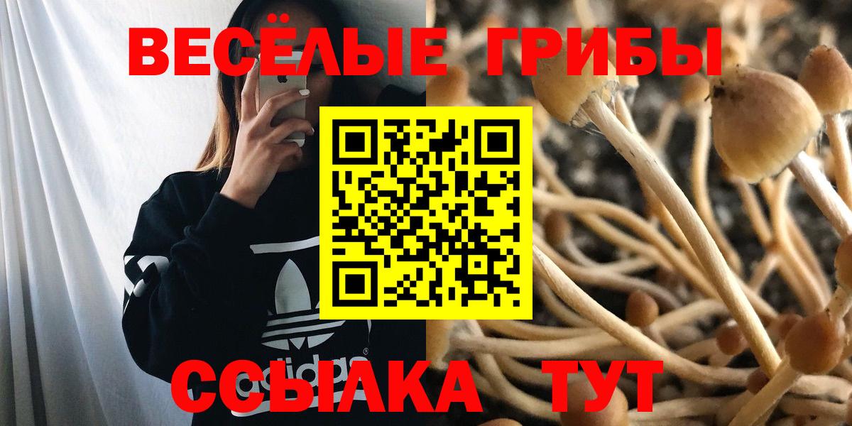 Галлюциногенные грибы GOLDEN TEACHER Семёнов